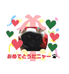 黒猫のアリスのスタンプ！12766584修正版（個別スタンプ：34）