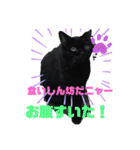 黒猫のアリスのスタンプ！12766584修正版（個別スタンプ：35）