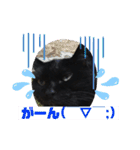 黒猫のアリスのスタンプ！12766584修正版（個別スタンプ：37）
