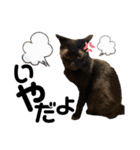 あんこのこ日常会話ver.（個別スタンプ：11）