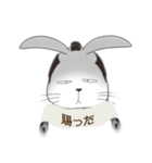 不器用なうさぎ・ぎんさんの決めゼリフ（個別スタンプ：11）