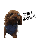 枝豆＆冷奴（個別スタンプ：6）