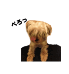 枝豆＆冷奴（個別スタンプ：8）