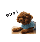 枝豆＆冷奴（個別スタンプ：9）