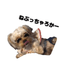 枝豆＆冷奴（個別スタンプ：10）