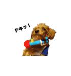 枝豆＆冷奴（個別スタンプ：11）