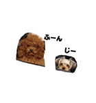 枝豆＆冷奴（個別スタンプ：16）