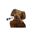 枝豆＆冷奴（個別スタンプ：17）