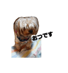 枝豆＆冷奴（個別スタンプ：23）