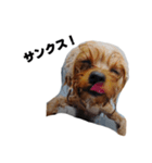 枝豆＆冷奴（個別スタンプ：24）
