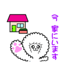 ふわもこワンコ(家族用)毎日使える（個別スタンプ：15）