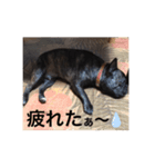 Liku..2（個別スタンプ：4）