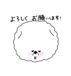 いつでも丁寧なビションちゃん（個別スタンプ：1）