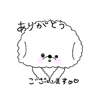 いつでも丁寧なビションちゃん（個別スタンプ：2）