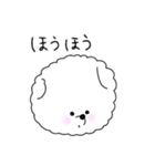 いつでも丁寧なビションちゃん（個別スタンプ：7）