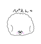 いつでも丁寧なビションちゃん（個別スタンプ：11）