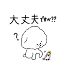 いつでも丁寧なビションちゃん（個別スタンプ：13）