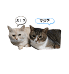 柚子＆紅葉(2)（個別スタンプ：1）