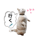 柚子＆紅葉(2)（個別スタンプ：34）