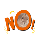 うさぎのmokoちゃん2（個別スタンプ：12）