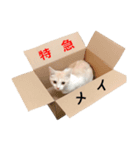 世界のめいちゃん（個別スタンプ：6）