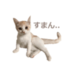 世界のめいちゃん（個別スタンプ：7）