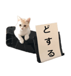 世界のめいちゃん（個別スタンプ：8）