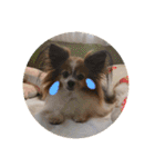 さんさんとおび（個別スタンプ：5）