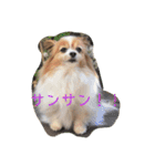 さんさんとおび（個別スタンプ：8）