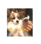 さんさんとおび（個別スタンプ：10）