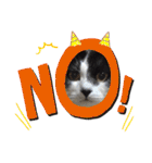 林家の愛されモノクロねこ（個別スタンプ：17）