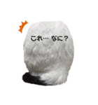 林家の愛されモノクロねこ（個別スタンプ：39）