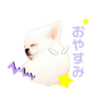 チワワのすず（個別スタンプ：9）