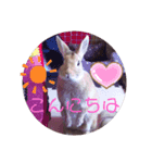 うさぎのゆずちゃん その2（個別スタンプ：2）