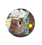 うさぎのゆずちゃん その2（個別スタンプ：3）