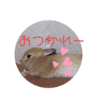 うさぎのゆずちゃん その2（個別スタンプ：4）
