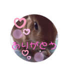 うさぎのゆずちゃん その2（個別スタンプ：6）