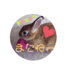 うさぎのゆずちゃん その2（個別スタンプ：7）