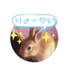 うさぎのゆずちゃん その2（個別スタンプ：8）