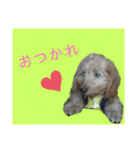 ダックス華スタンプ（個別スタンプ：4）