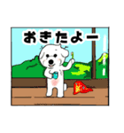 ビション フリーゼ 日常 使えるスタンプ（個別スタンプ：2）