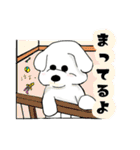 ビション フリーゼ 日常 使えるスタンプ（個別スタンプ：10）