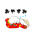 ビション フリーゼ 日常 使えるスタンプ（個別スタンプ：34）