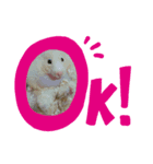 komatsukehhjjvft（個別スタンプ：1）