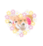 komatsukehhjjvft（個別スタンプ：2）