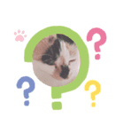 komatsukehhjjvft（個別スタンプ：4）