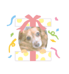 komatsukehhjjvft（個別スタンプ：6）