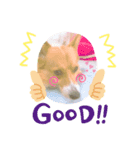 komatsukehhjjvft（個別スタンプ：8）