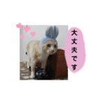 くりーむとみーこ④（個別スタンプ：2）