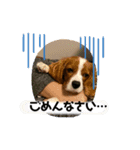 ちゃちゃまるの挨拶スタンプ（個別スタンプ：18）